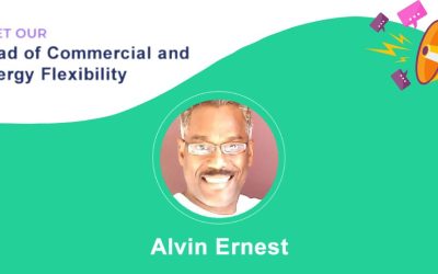 Alvin Ernest joins the team as Head of Commercial and Energy Flexibility