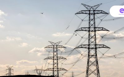 Public CPOs & Demand Side Flexibility