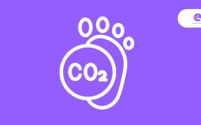 The Role of EVs in the UK's Net Zero Emission Goals